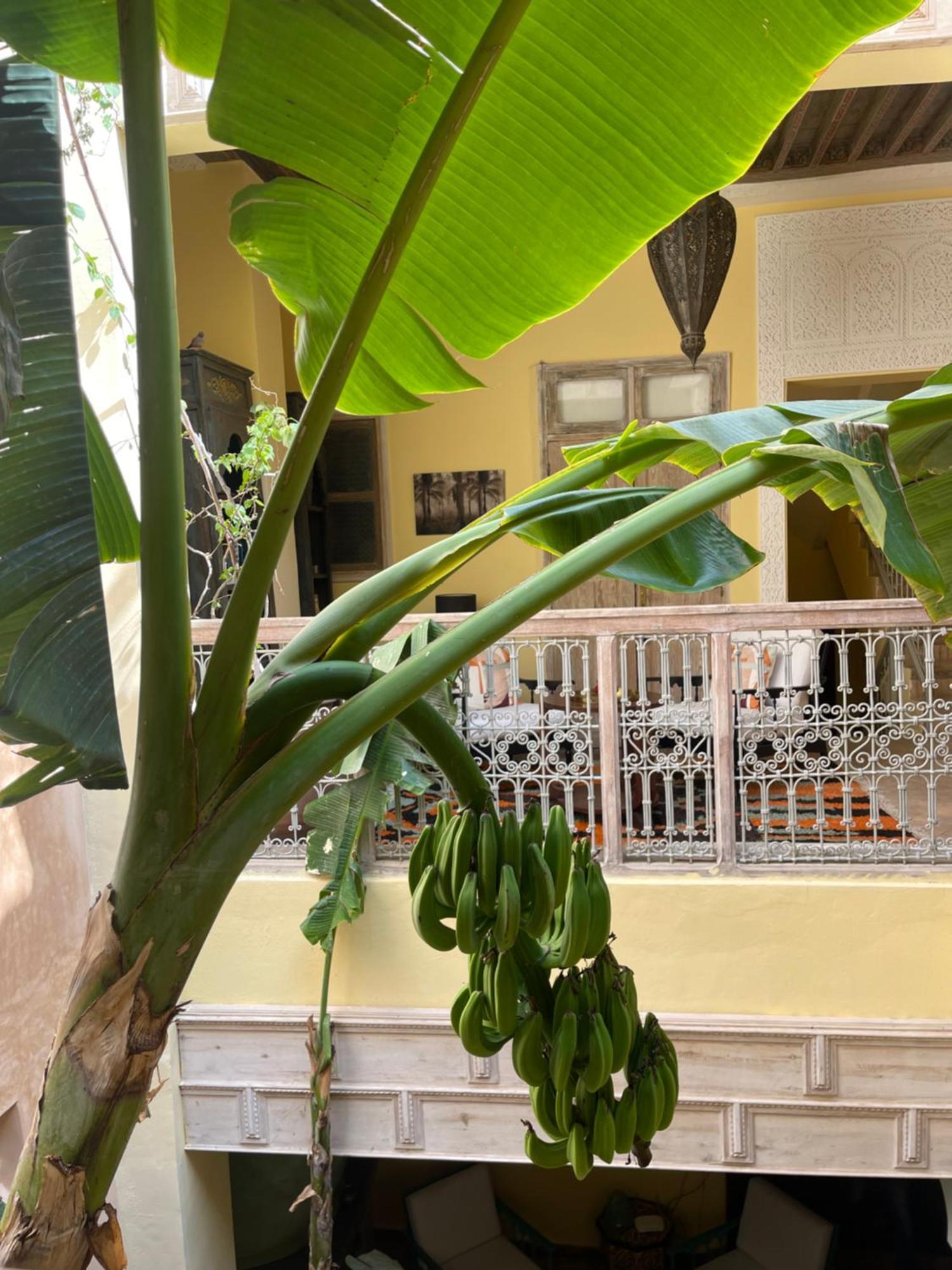 Riad Dar Naomi Marrakesh Extérieur photo
